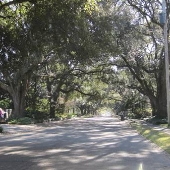 Longwood Street