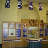 LSU Museum of Natural History