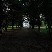 Goodwood Boulevard Plantation Home