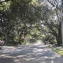 Longwood Street