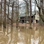 Mayfield Creek Camp