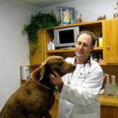 Perkins Road Veterinary Hospital