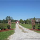Gonzales Houses & Barns