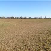 Zachary and Jackson Farmland