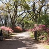 Afton Villa Gardens