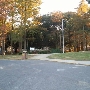 LSU - Enchanted Forest