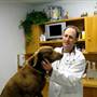 Perkins Road Veterinary Hospital