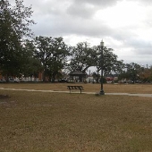 Cate Square