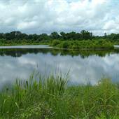 Blackwater Conservation Area