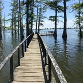 Angola Prison Lake Cabin