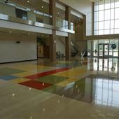 Progress Elementary