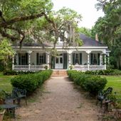 Catalpa Plantation