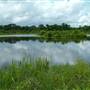 Blackwater Conservation Area