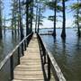 Angola Prison Lake Cabin
