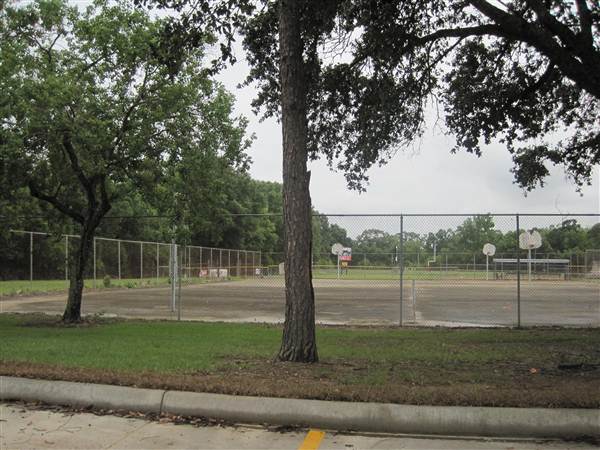 Tara High School