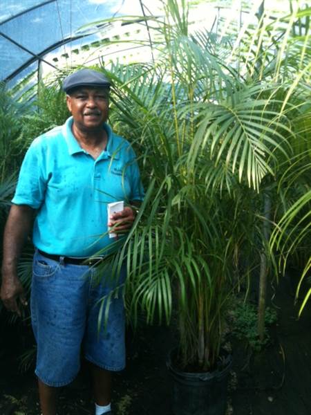 Burris Greenhouse