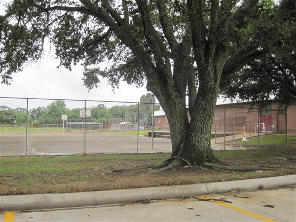 Tara High School
