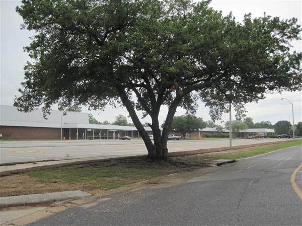 Tara High School