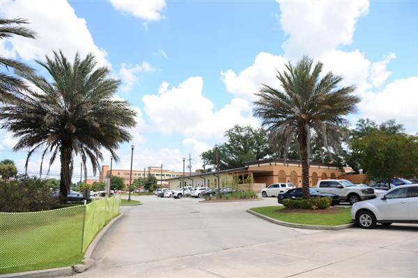Perkins Palms