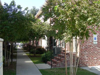 Grand Cypress Condos