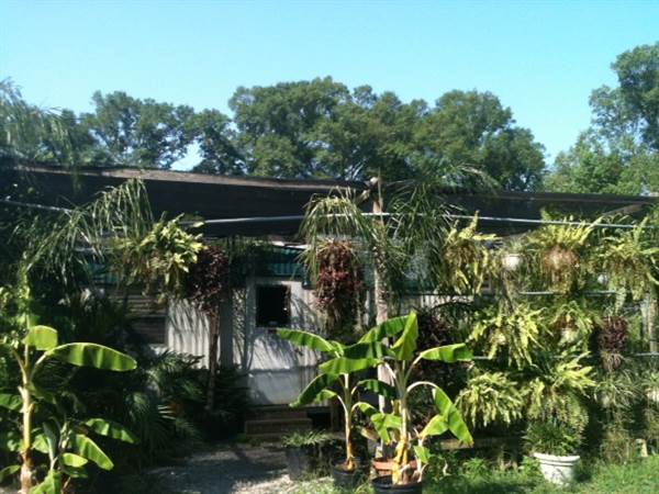 Burris Greenhouse