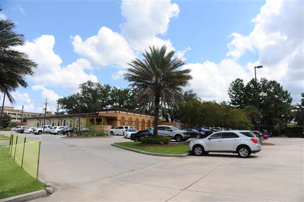 Perkins Palms