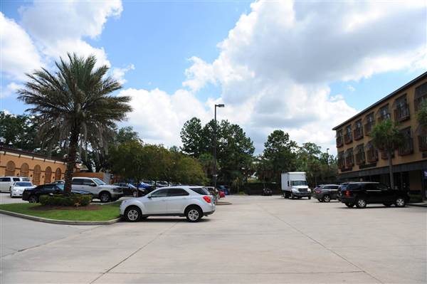 Perkins Palms