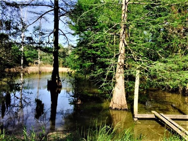 Glynnwood Plantation